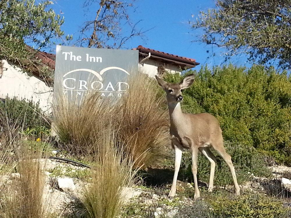 Croad Vineyards - The Inn Paso Robles Exterior photo