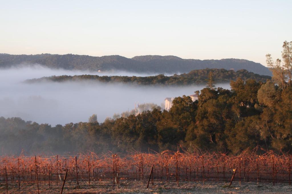 Croad Vineyards - The Inn Paso Robles Exterior photo